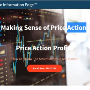 Making Sense of Price Action - The Information Edge â„¢
