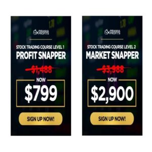 Piranha Profits Stocks Courses – Level 1 Profit Snapper and Level 2 Market Snapper – Adam Khoo