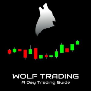 Roland Wolf - Day Trading Guide
