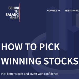How to Pick Winning Stocks course by behind the balance sheet