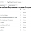Course Curriculum list for Pay2Play University Course featuring Forex and Futures trading education
